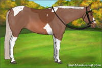 Horse Color:Silver Bay Tobiano 