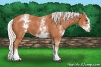 Horse Color:White Spotted Silver Bay Splash 