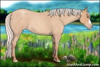 Horse Color:Silver Amber Champagne Roan
