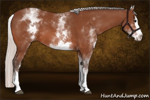 Horse Color: White Spotted Silver Bay Splash 