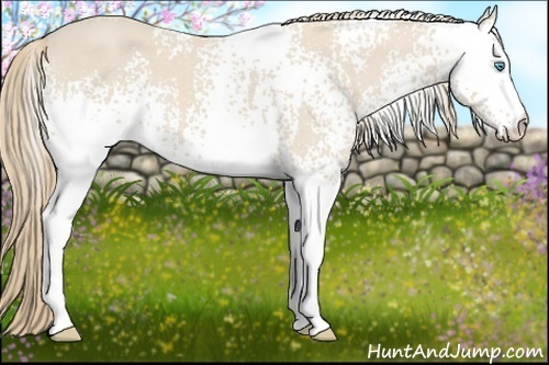 Horse Color: White Spotted Smoky Creme 