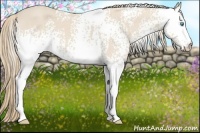 Horse Color:White Spotted Smoky Creme 