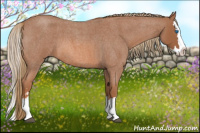 Horse Color:Red Roan Sabino Splash 