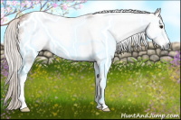 Horse Color:Gray White Spotted Silver Bay Frame 