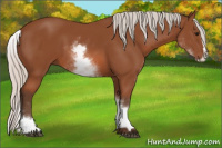 Horse Color:White Spotted Silver Bay Splash 