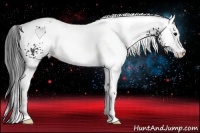 Horse Color:White Spotted Black 