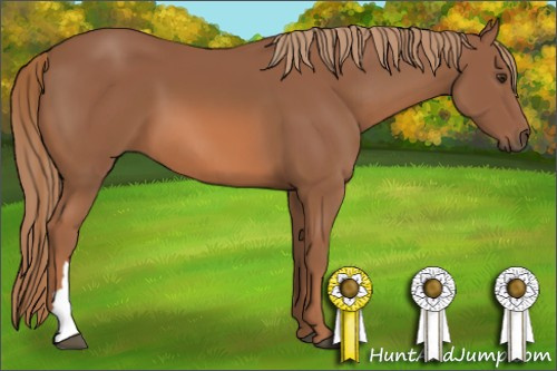 Horse Color: Liver Chestnut 