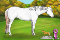 Horse Color:Amber Champagne Dun Near Leopard