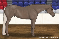 Horse Color:Silver Black 