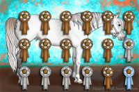 Horse Color:Gray Silver Brown Roan 