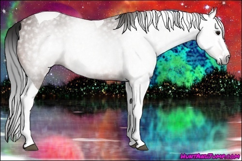 Horse Color:Gray Bay Splash Tobiano 