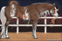 Horse Color:White Spotted Silver Brown Splash 