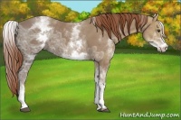 Horse Color:White Spotted Chestnut Ice 
