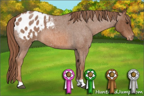 Horse Color: Unknown 