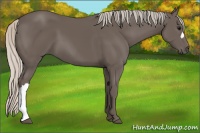 Horse Color:Silver Black 