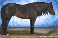Horse Color:Brown  Brindle