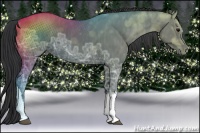 Horse Color:Black Ice Brindle