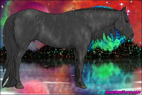 Horse Color: Black  Brindle