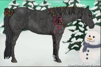 Horse Color:Black  Brindle