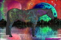 Horse Color:Black  Brindle