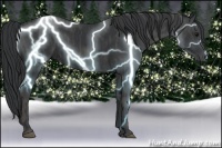 Horse Color:Black  Brindle