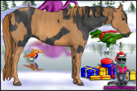 Horse Color:Black  Brindle