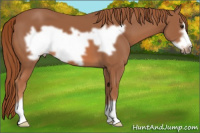 Horse Color:Liver Chestnut Frame 