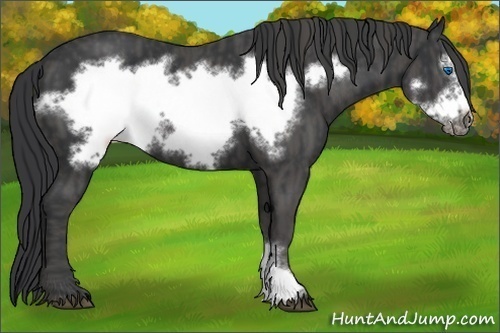 Horse Color:Black Frame  Brindle
