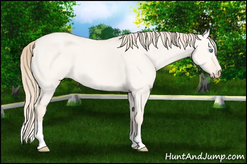 Horse Color: Perlino Dun 