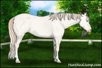 Horse Color:Perlino Dun