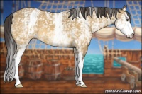 Horse Color:White Spotted Buckskin Dun 