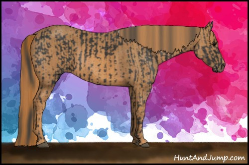 Horse Color: Black  Brindle