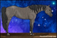 Horse Color:Grullo  Brindle