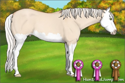 Horse Color: Silver Amber Champagne Dun Splash 