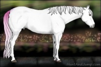 Horse Color:Gray Watercolor White Spotted Palomino 