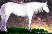 Horse Color:Gray Watercolor White Spotted Bay 