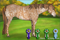 Horse Color:White Spotted Bay  Brindle
