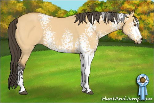 Horse Color: White Spotted Buckskin Dun 