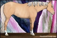Horse Color:Silver Amber Champagne Rabicano 