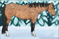 Horse Color:Bay Ice 