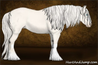 Horse Color:Cremello Dun 