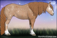 Horse Color:Chestnut Sabino 