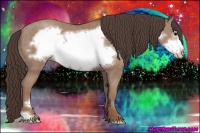 Horse Color:Classic Champagne Frame 