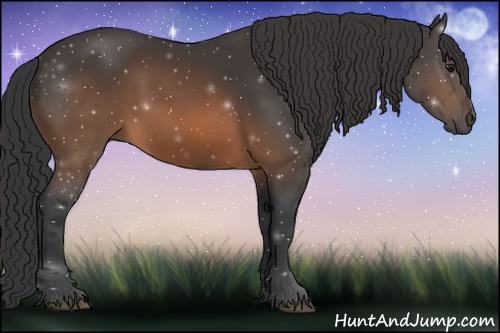 Horse Color: Brown Sabino 