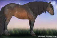 Horse Color:Brown Sabino 