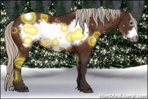 Horse Color: Silver Bay Frame 