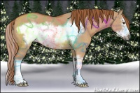 Horse Color:Red Dun Sabino Splash Frame 