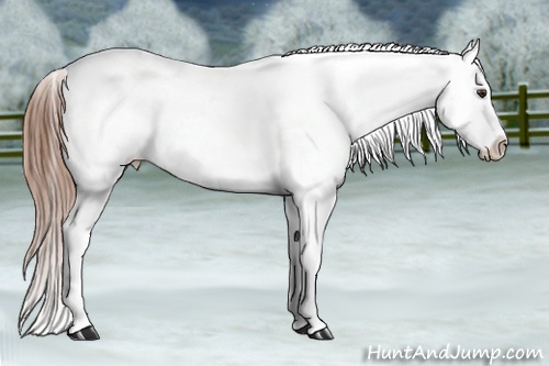 Horse Color: Red Roan Snowflake Varnish 