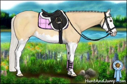 Horse Color: Silver Buckskin Sabino Splash 