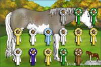 Horse Color:Silver Smoky Black Sabino Splash 